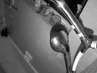 voyeurcam charleys bathroom
